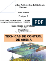 Tecnicas de Control de Arena