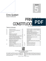 Principios Constitucionales.pdf