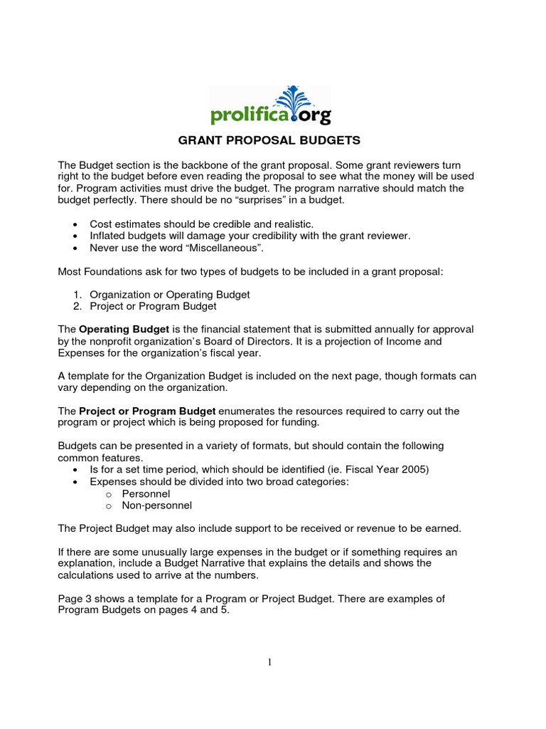 Budget Template and Samples Guide | PDF | Income | Fiscal Year