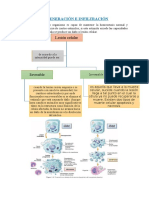 Degeneración e Infiltración