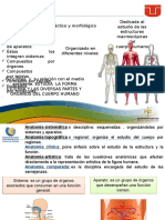 Anatomia y Filosofia