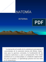 ANATOMÍA-INTERNA-1.ppt