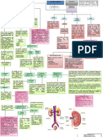 Diagrama de Flujo Del Sistema Urinario