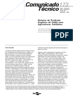 comunicadotecnico_173 Sistema de Produção Orgânico de Feijão para Agricultores Familiares.pdf