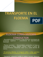 El Floema.pdf