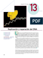 Replicación y Reparación Del DNA - Karp G.