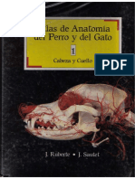 Atlas de Anatomia Del Perro y Gato I
