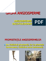 Grupa Angiosperme