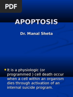 Download Apoptosis by   SN31377526 doc pdf