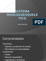 Sistema Musculoesqueletico