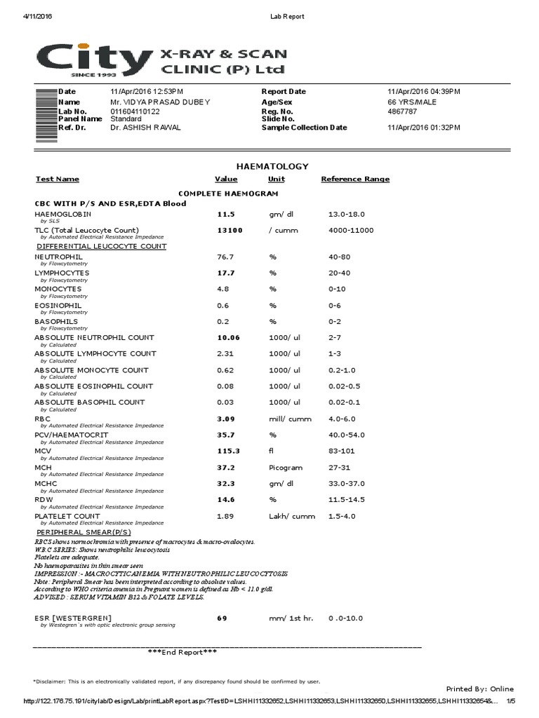Lab Report Anemia White Blood Cell