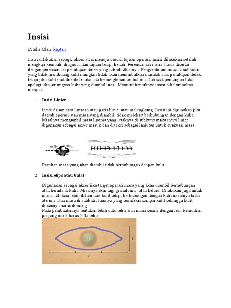 Teknik Insisi dalam Bedah Minor | PDF | Kajian Bahasa Asing | Sains ...