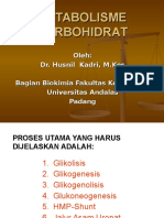 Metabolisme Karbohidrat (IDK-3)