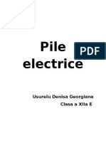 Pile Electrice Denisa