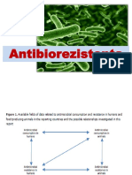 4 Ro Antibiorezistenta.pdf