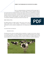 El Medio Rural Asturiano y Sus Posibilidades de Uso Respecto Al Medio