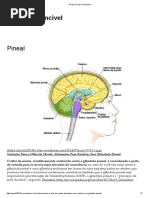 Pineal _ a Luz é Invencível
