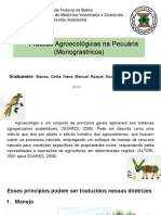 producao animal agroecologica