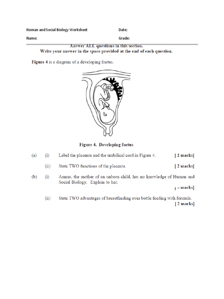 Human And Social Biology Worksheet