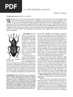Clasificacion taxonomica de curculionidae Anderson2002