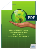 Financiamento Da Sustentabilidade Nas MPE