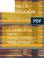David 1-Hacia La Perfección