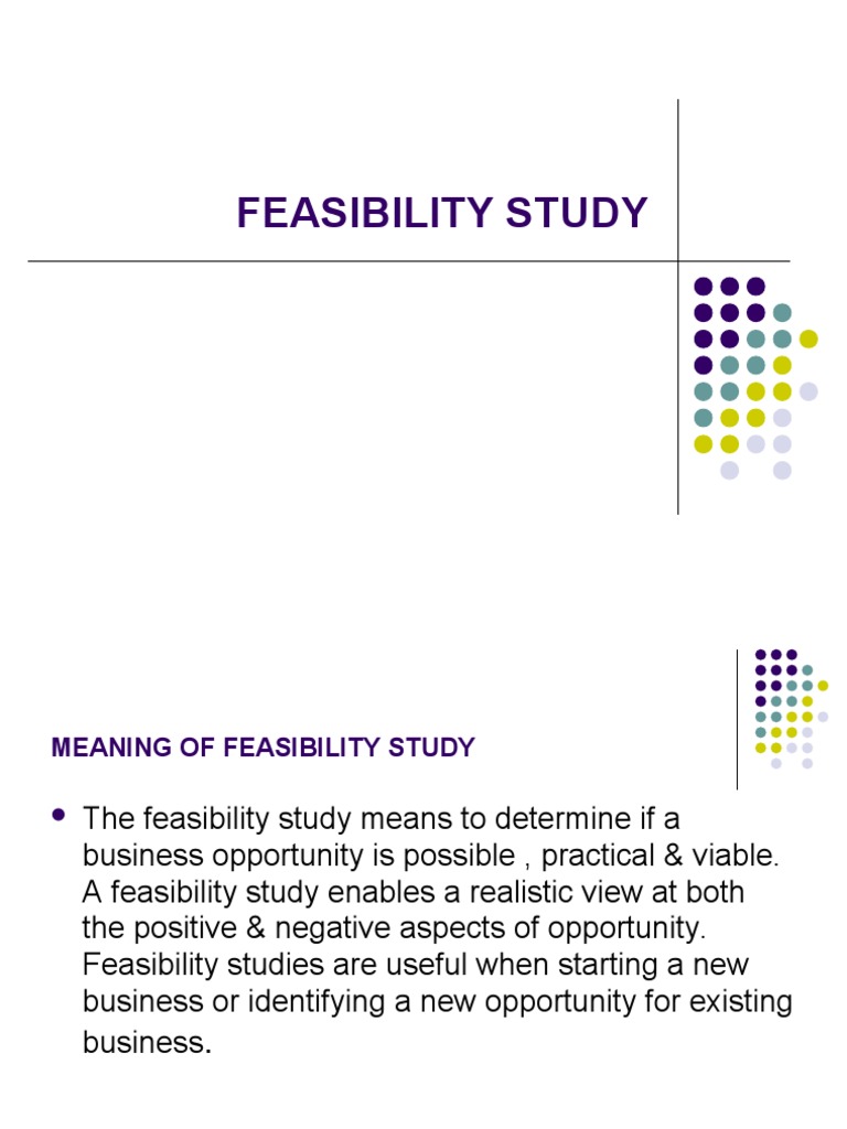 Understanding Feasibility Studies | PDF | Law