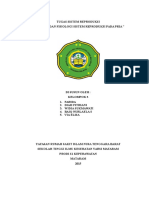 Makalah Reproduksi Pria Klp 3.docx