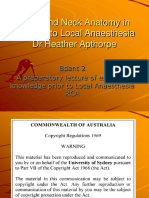 Head and Neck Anatomy in Relation To LA