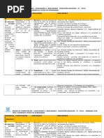 Matriz de Competencias.2016 Por Ciclos