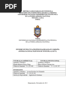 INFORME DE PASANTIAS CANTV 2015