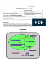 Guía 1 4º Biología