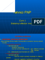 Tehnici FNP Curs 1 2012