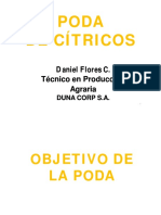 Poda de Cítricos PDF