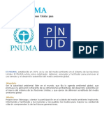 PNUMA