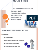 Elephantine Case Study - SIBM