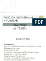 Función Glomerular y Tubular. 
