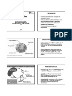 14. Dislipidemias