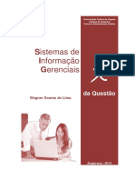 sistemas de informações.pdf