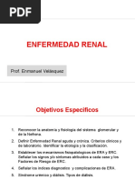 Enfermedad Renal Aguda y Cronica