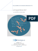 Campylobacter Bacteria Discreta 