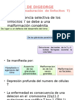 Síndrome de DiGeorge y defectos de maduración de linfocitos T