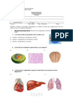 5° Básico - Ciencias Naturales