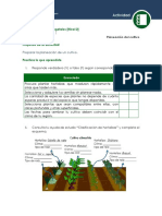 Planeacion Del Cultivo