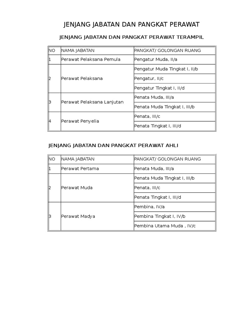 Jenjang Jabatan Dan Pangkat Perawat Terampil