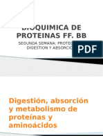 Bioquimica 1 2da Semana