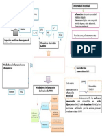 Rol Del Tráfico de Los Leucocitos