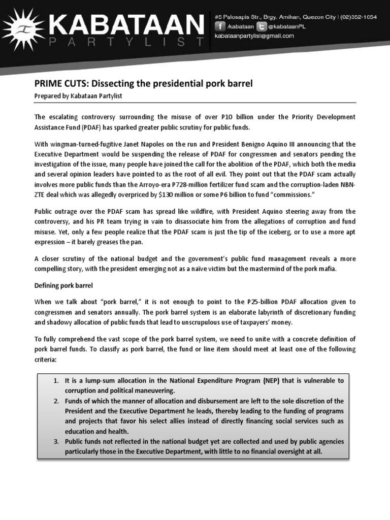 Presidential Pork Barrel Primer PDF PublicPrivate Partnership