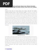 Download PengertianFluidaStatisDanDinamisbyAchmadKurniaSN313978814 doc pdf