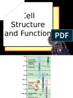 1 Cell Structure